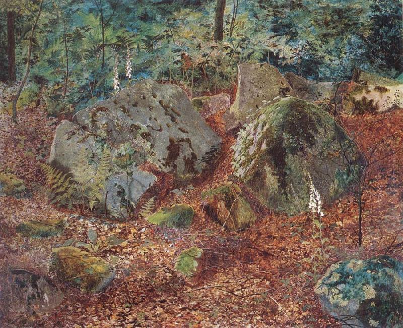 Atkinson Grimshaw A Mossy Glen oil painting picture
